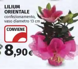 Coop Lilium Orientale offerta