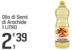 Supermercati Dok Selex Olio di Semi di Arachide offerta