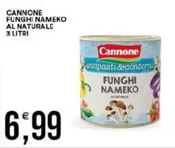 Vantaggio Cash&Carry Cannone funghi nameko al naturale offerta
