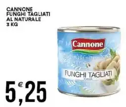 Vantaggio Cash&Carry Cannone funghi tagliati al naturale offerta