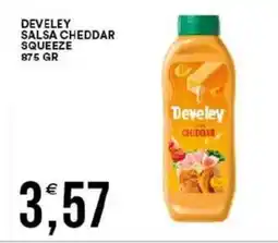 Vantaggio Cash&Carry Develey salsa cheddar squeeze offerta