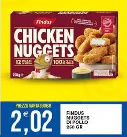 Vantaggio Cash&Carry Findus nuggets di pollo offerta