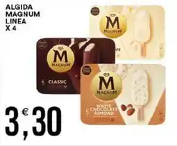 Vantaggio Cash&Carry Algida magnum linea offerta