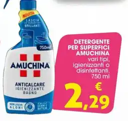Conad Detergente per superfici AMUCHINA offerta