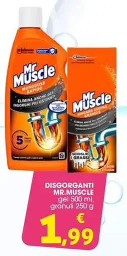 Conad Disgorganti MR.MUSCLE offerta