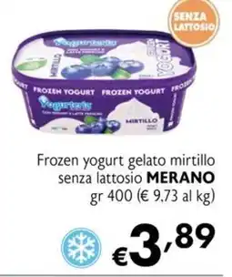 Eurospesa Frozen yogurt gelato mirtillo senza lattosio MERANO offerta