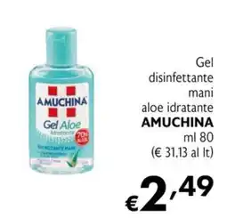Eurospesa Gel disinfettante mani aloe idratante AMUCHINA offerta