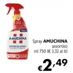 Eurospesa Spray AMUCHINA offerta