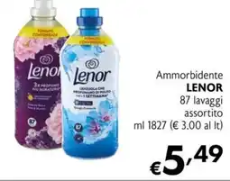 Eurospesa Ammorbidente LENOR offerta
