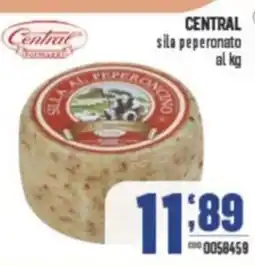 Gruppo di Palo CENTRAL sila peperonato offerta