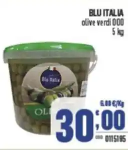 Gruppo di Palo BLU ITALIA olive verdi 000 offerta