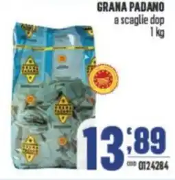 Gruppo di Palo GRANA PADANO a scaglie dop offerta