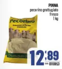 Gruppo di Palo PINNA pecorino grattugiato fresco offerta