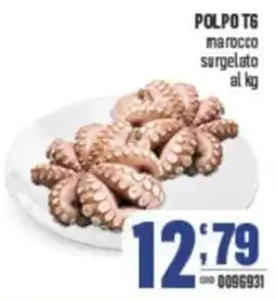 Gruppo di Palo POLPO T6 marocco surgelato offerta