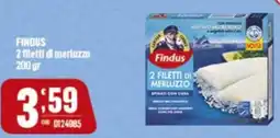 Gruppo di Palo FINDUS 2 filetti di merluzzo offerta