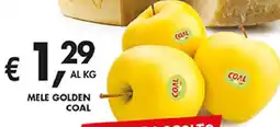 Coal Mele golden COAL offerta