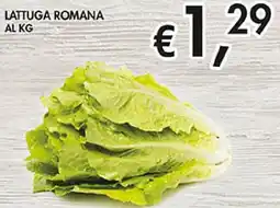 Coal Lattuga romana offerta