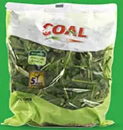 Coal Cicoria coal busta offerta