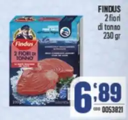 Gruppo di Palo FINDUS 2 fiori di tonno offerta