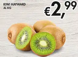 Coal Kiwi hayward offerta