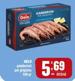 Gruppo di Palo GELO gamberonl per grigliata offerta