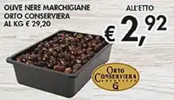 Coal Olive nere marchigiane orto conserviera offerta