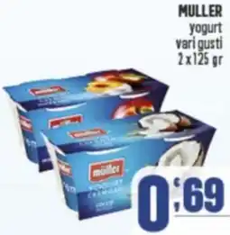 Gruppo di Palo MULLER yogurt offerta
