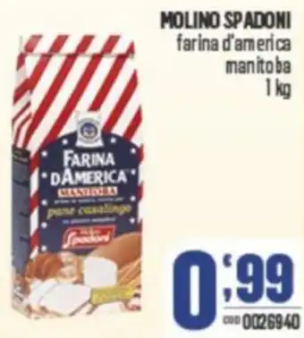 Gruppo di Palo MOLINO SPADONI farina d'america manitoba offerta