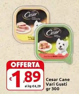 Carrefour Express Cesar Cane offerta