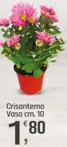 Supermercati Dok Crisantemo offerta