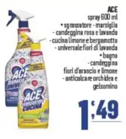 Gruppo di Palo ACE spray offerta