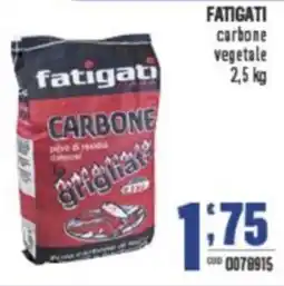Gruppo di Palo FATIGATI carbone vegetale offerta