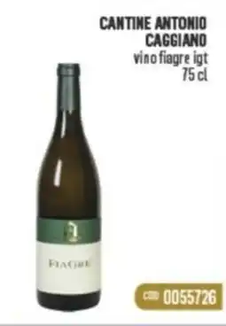 Gruppo di Palo CANTINE ANTONIO CAGGIANO vino fiagre igt offerta