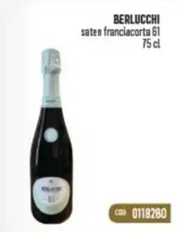 Gruppo di Palo BERLUCCHI saten franciacorta 61 offerta