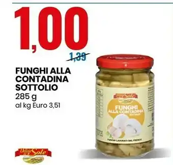 Eurospin Funghi sott olio offerta