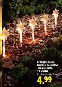 Lidl LIVARNO home Luci LED decorative con picchetto offerta
