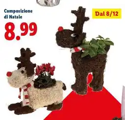 Lidl Composizione di Natale offerta