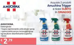 Ipersoap AMUCHINA Detergente offerta