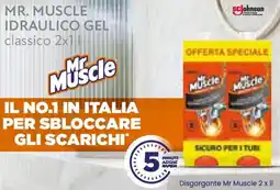 Conad Mr. muscle idraulico gel classico offerta