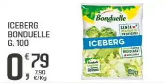 Supermercati Dok Iceberg BONDUELLE offerta