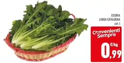 Conad Cicoria lunga catalogna offerta