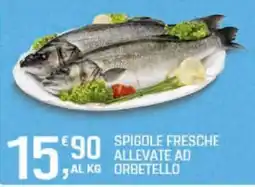Supermercati Dok Spigole fresche allevate ad orbetello offerta