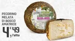 Supermercati Dok Pecorino melata di bosco amatrice offerta