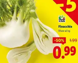 Lidl Finocchio offerta