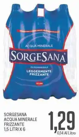 Supermercati Piccolo Sorgesana acqua minerale frizzante offerta