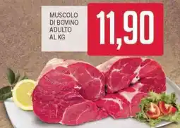 Supermercati Piccolo Muscolo di bovino adulto offerta