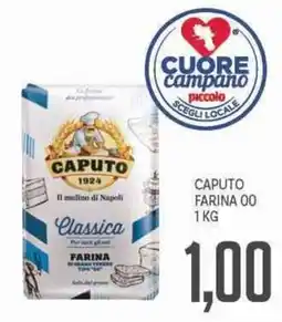 Supermercati Piccolo Caputo farina 00 offerta