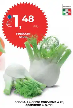 Ipercoop Finocchi sfusi offerta