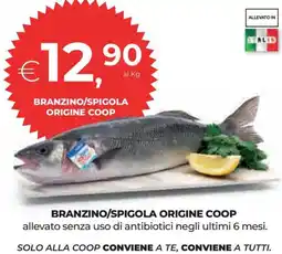 Ipercoop Branzino/spigola origine COOP offerta