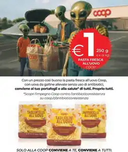 Ipercoop Pasta fresca all'uovo COOP offerta